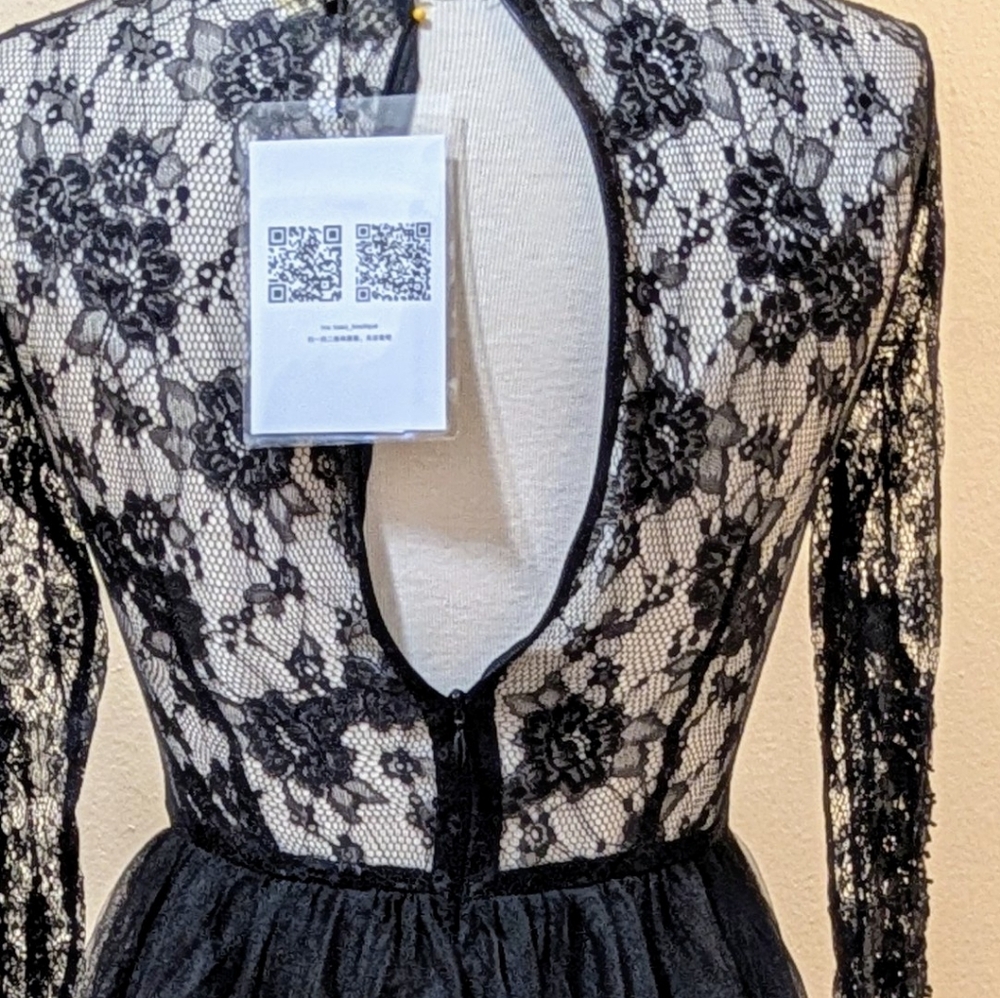 BEA-Z Gothic Black Lace & Tulle Dress - Size XS - Picture 11 of 12